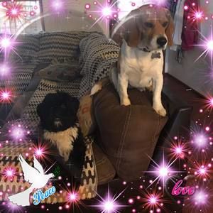 Meet your Posher, Lili